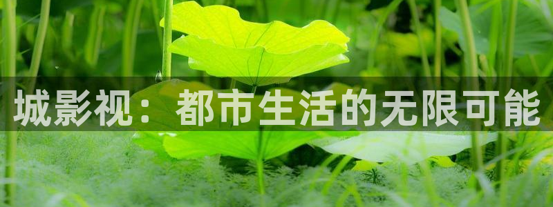 麥田影視影樓：城影視：都市生活的無限可能