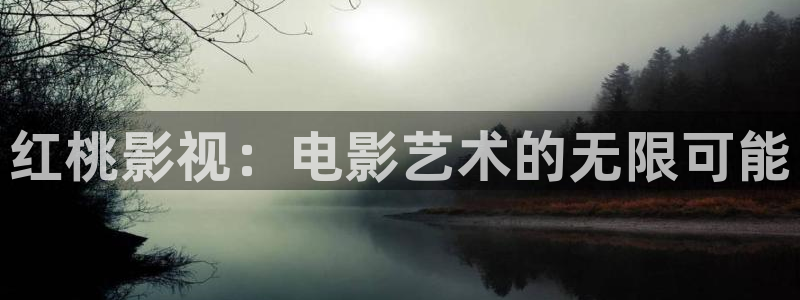 江陰麥田視覺