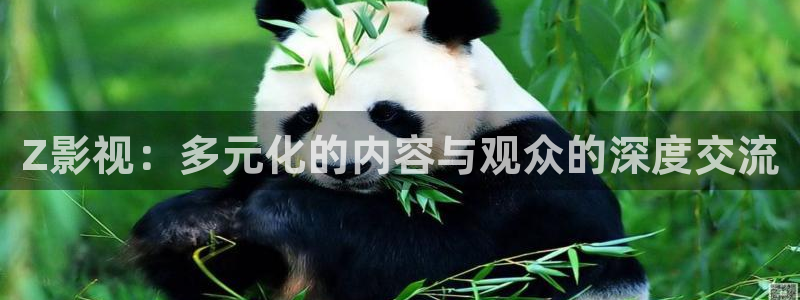 北京麥田：Z影視：多元化的內容與觀眾的深度交流